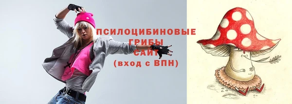 МДПВ Навашино