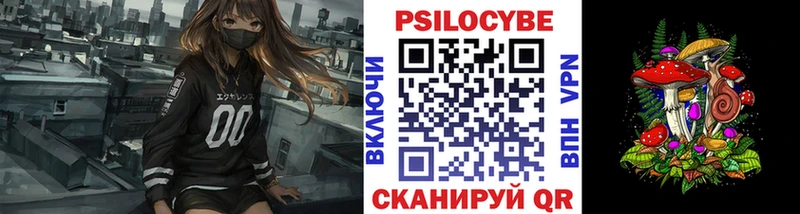 Купить  Малая Вишера  Псилоцибиновые грибы ЛСД 